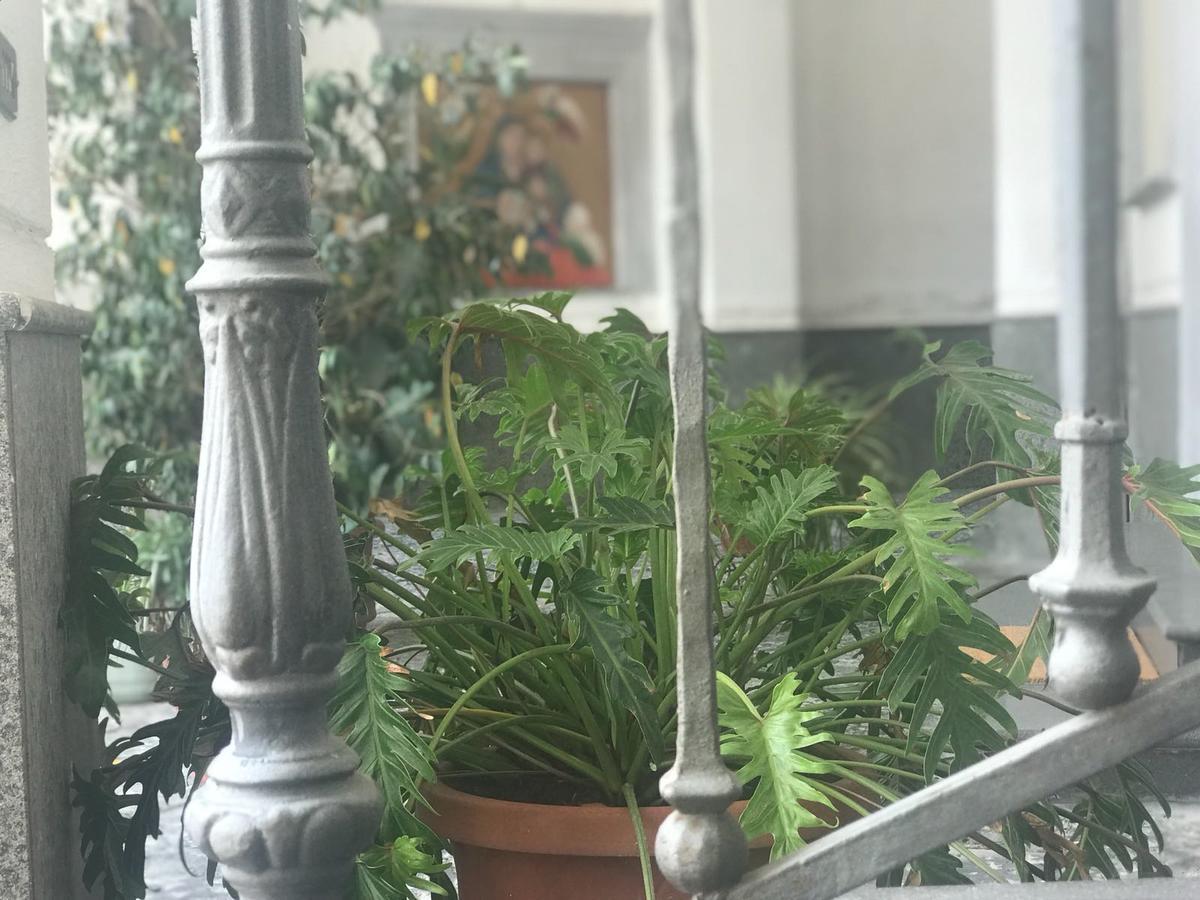 B&B La Corte Sant'Antimo ภายนอก รูปภาพ